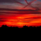 Sonnenuntergang im Fechenheimer Mainbogen