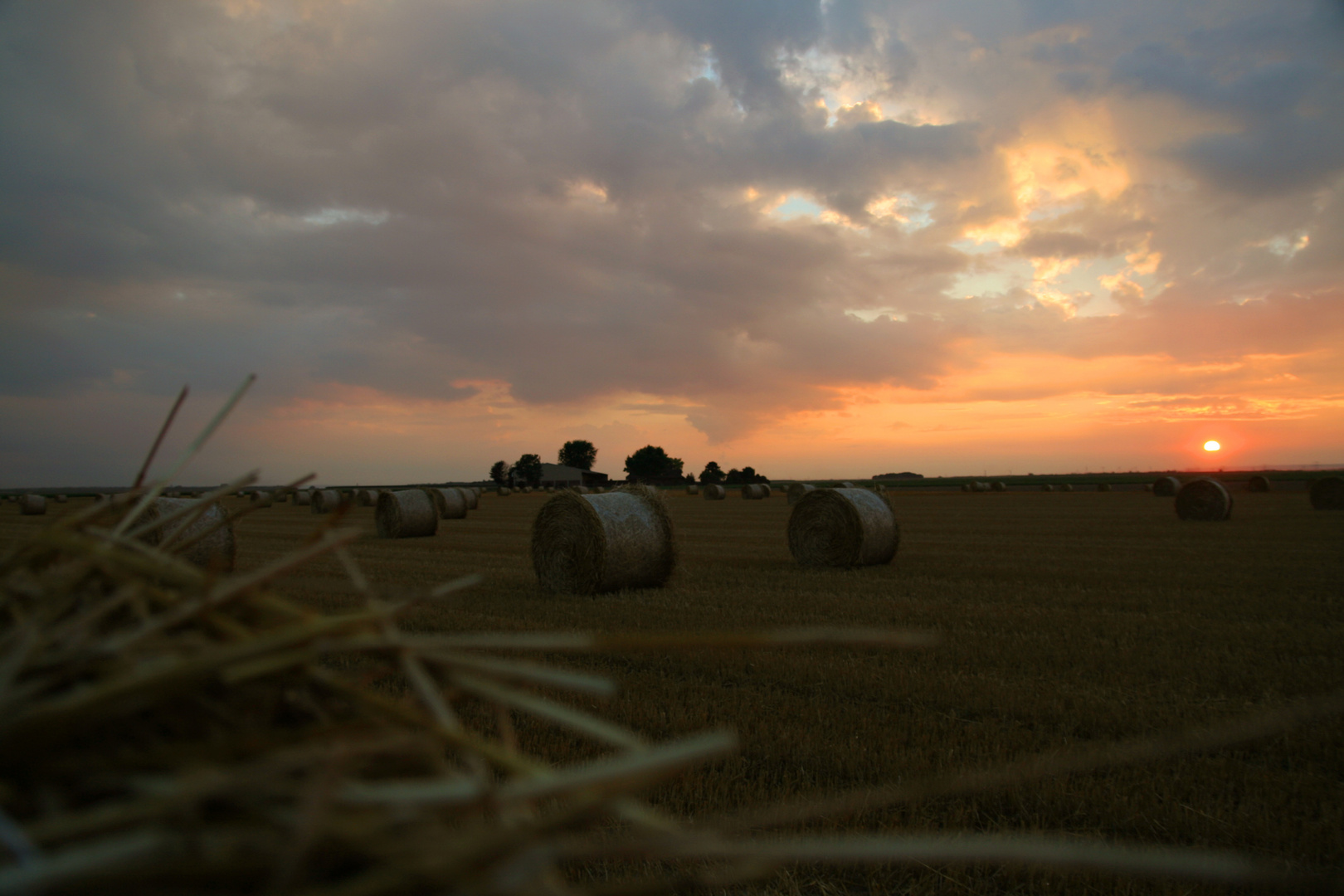 Sonnenuntergang im Feld