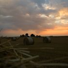 Sonnenuntergang im Feld