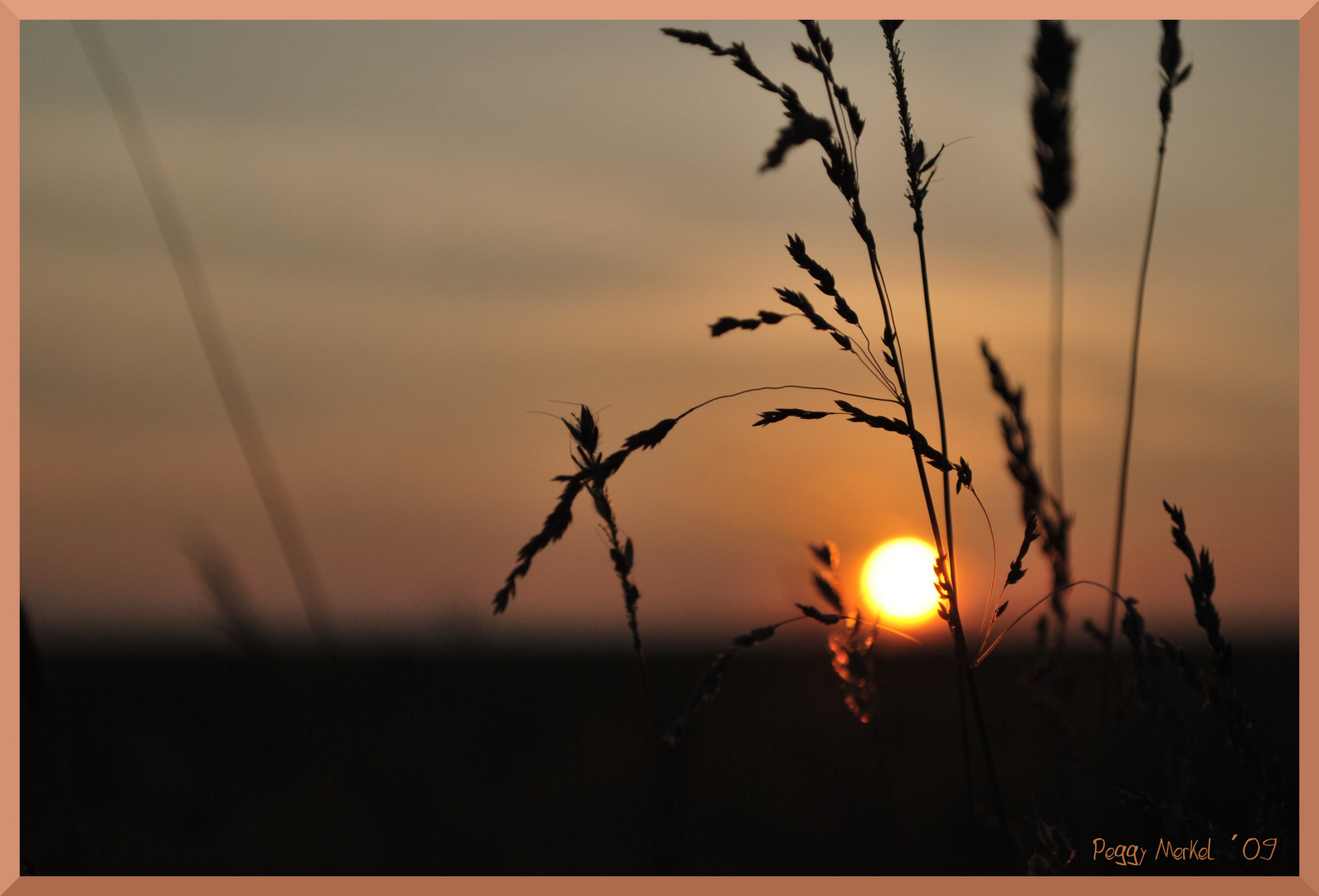 Sonnenuntergang im Feld