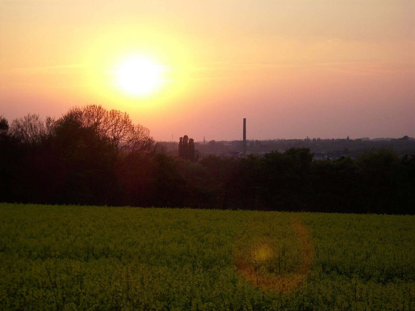 Sonnenuntergang im Feld