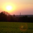 Sonnenuntergang im Feld