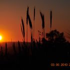 sonnenuntergang im feld