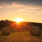 Sonnenuntergang im Feld