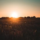 Sonnenuntergang im Feld