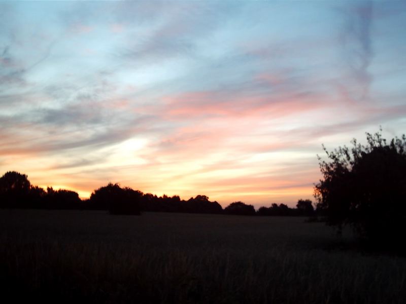 Sonnenuntergang im feld