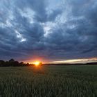 Sonnenuntergang im Feld