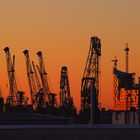 Sonnenuntergang im Freihafen zwischen Kränen und Elbphilharmonie