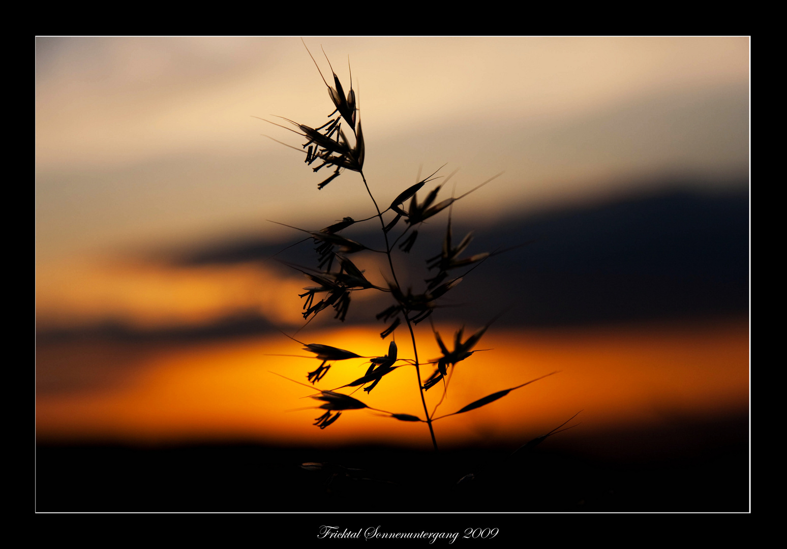 Sonnenuntergang im Fricktal II