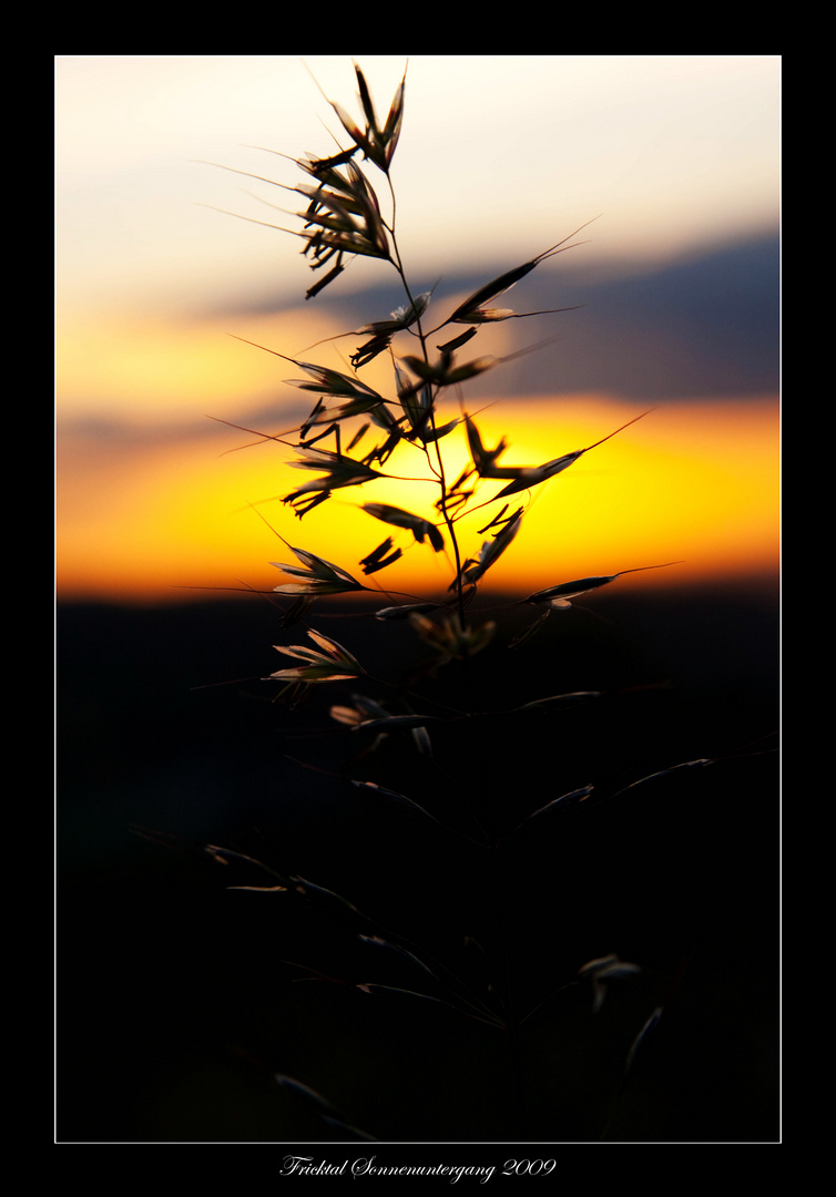 Sonnenuntergang im Fricktal III