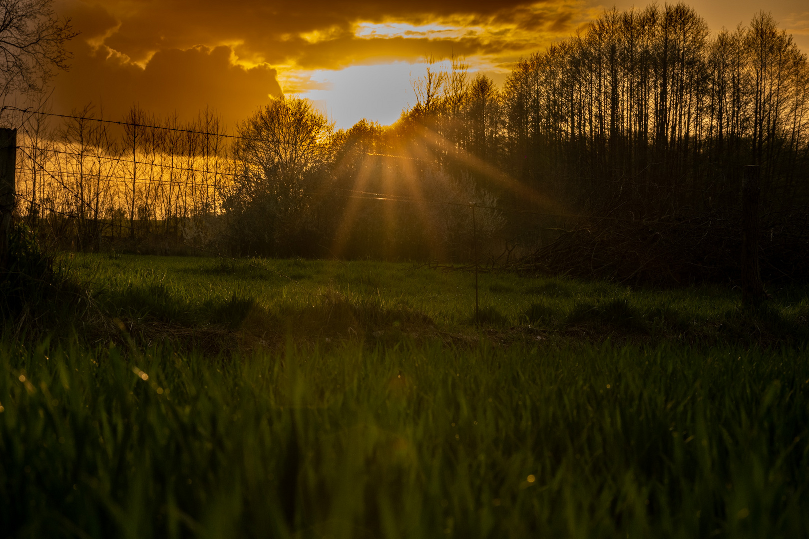 Sonnenuntergang im Frühling