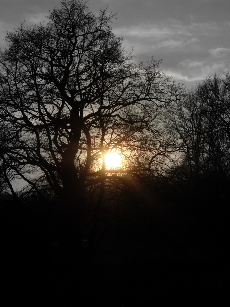 Sonnenuntergang im Frühling von Seestern Patrick 