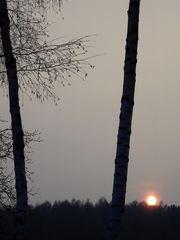 Sonnenuntergang im Frühling