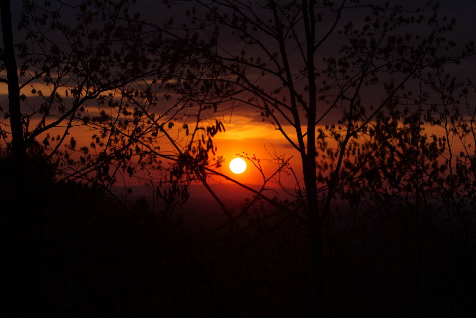 Sonnenuntergang im Frühling