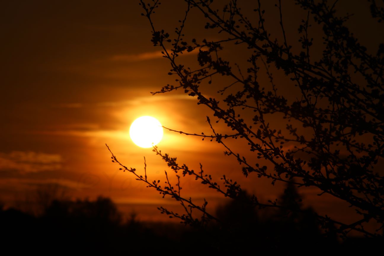 Sonnenuntergang im Frühling