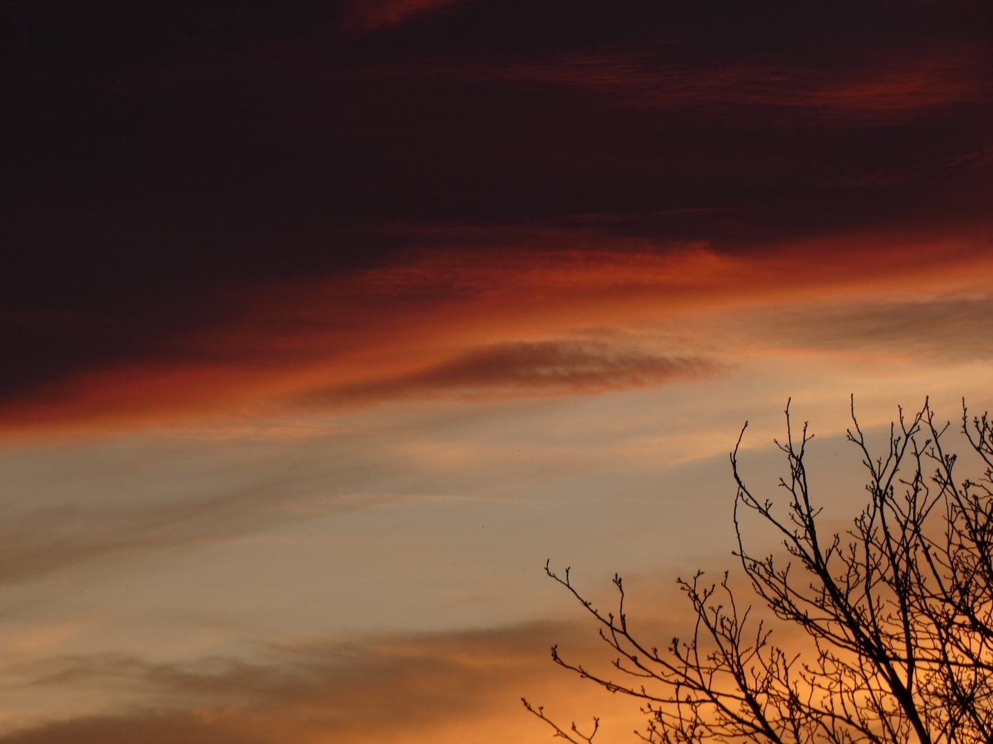 Sonnenuntergang im Frühsommer