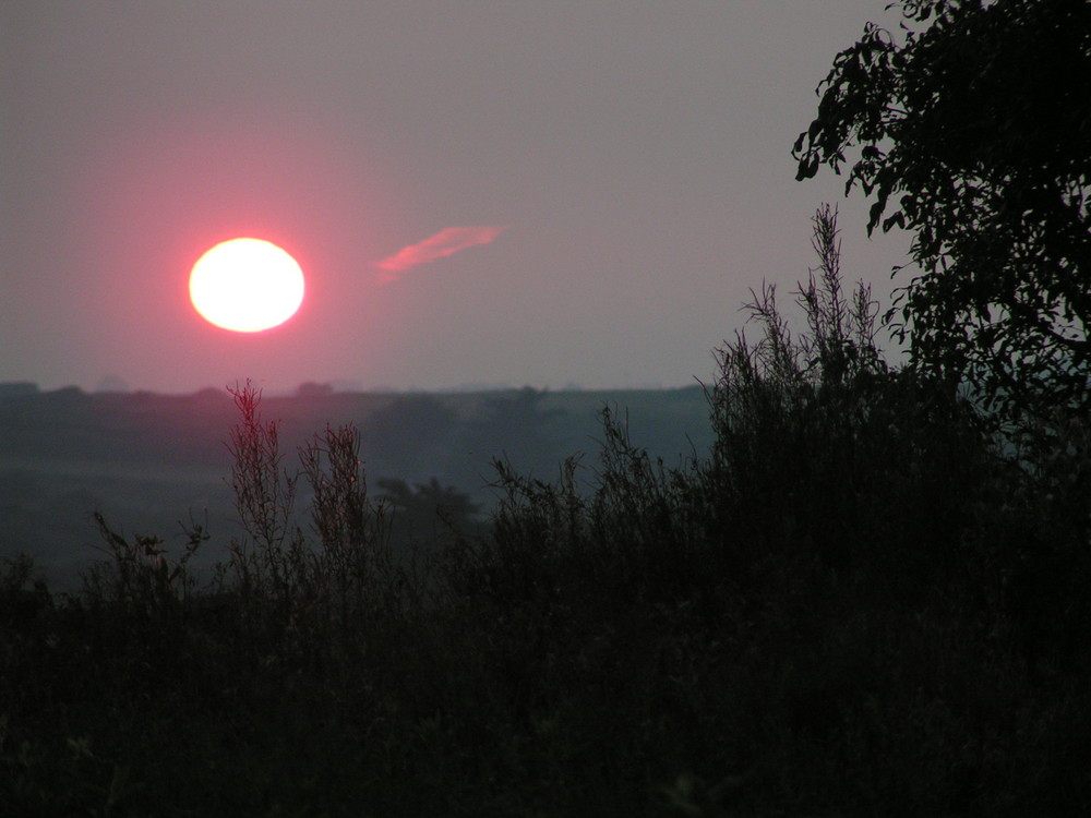 Sonnenuntergang im Garten