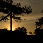 Sonnenuntergang im Gegenlicht - Teil 3