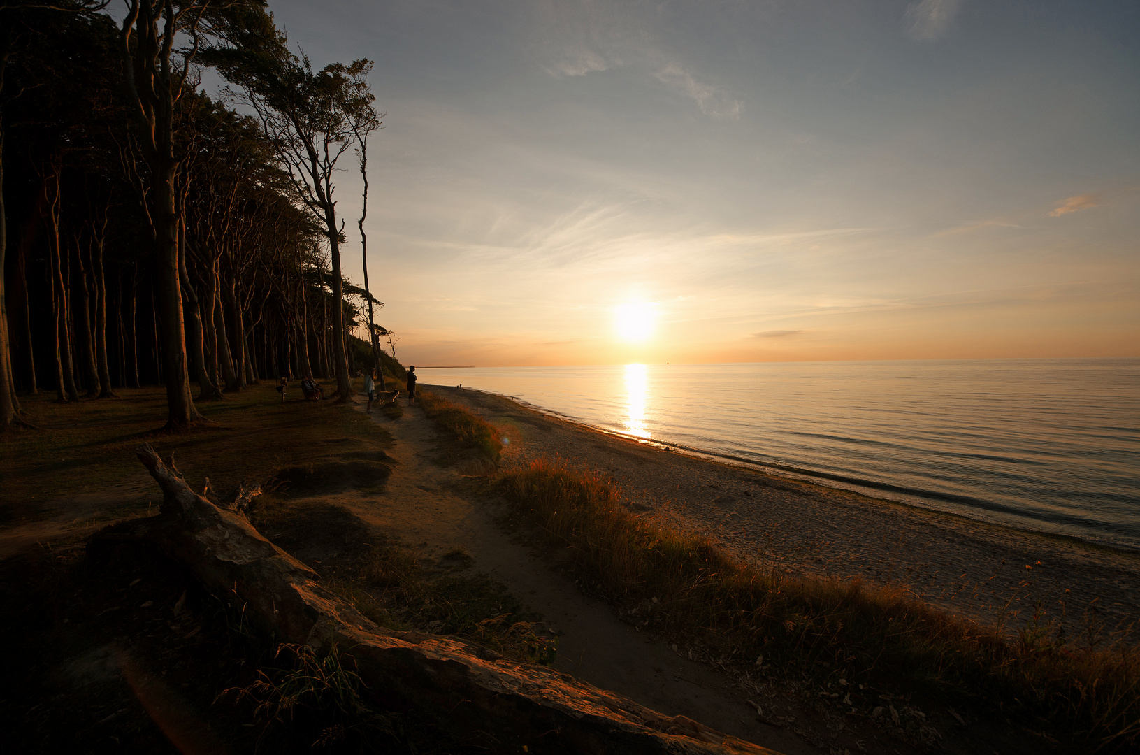 Sonnenuntergang im Gespensterwald