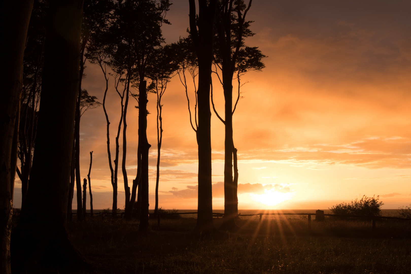 Sonnenuntergang im Gespensterwald 