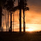 Sonnenuntergang im Gespensterwald 