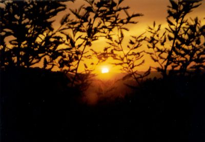 Sonnenuntergang im Grand Canyon