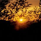 Sonnenuntergang im Grand Canyon