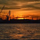 Sonnenuntergang im Hafen 2