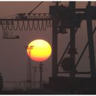 Sonnenuntergang im Hafen 2