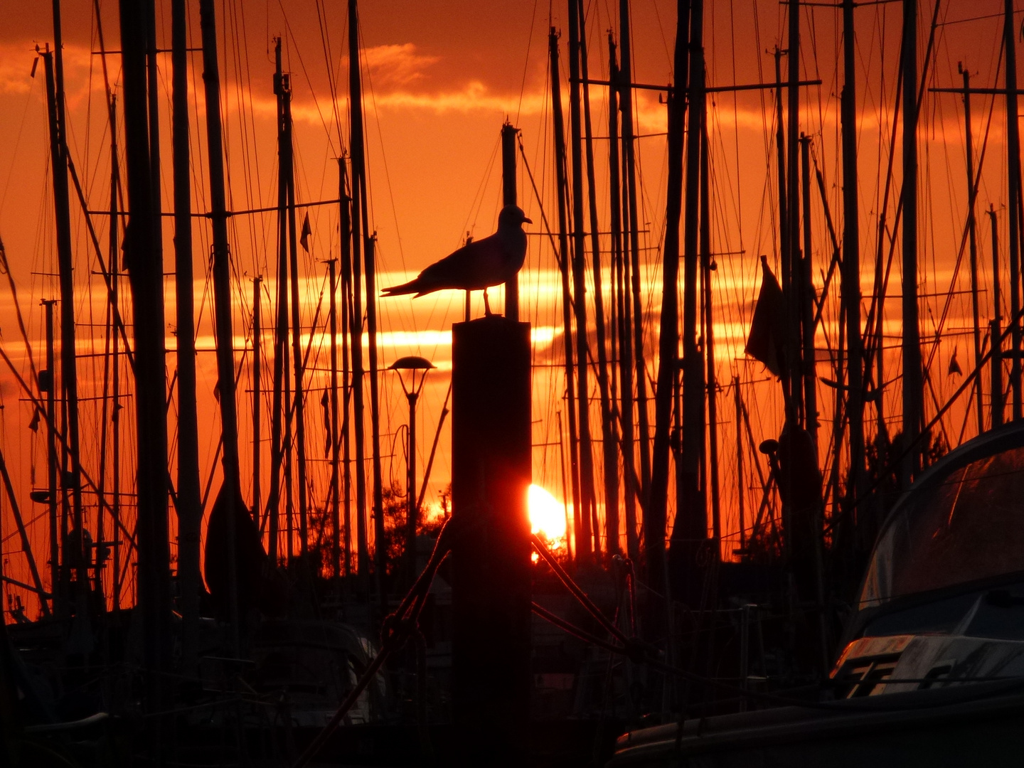 Sonnenuntergang im Hafen .