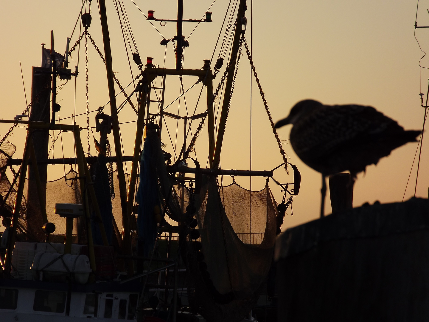 Sonnenuntergang im Hafen