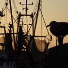 Sonnenuntergang im Hafen