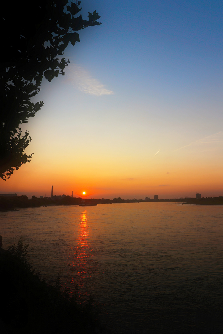 Sonnenuntergang im Hafen