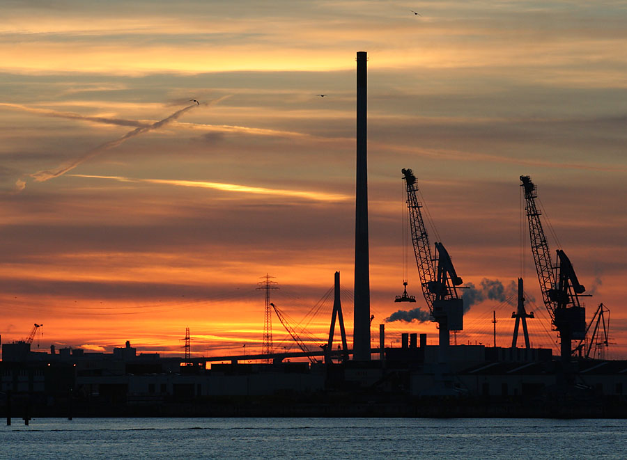 Sonnenuntergang im Hafen mit ein paar Möwen