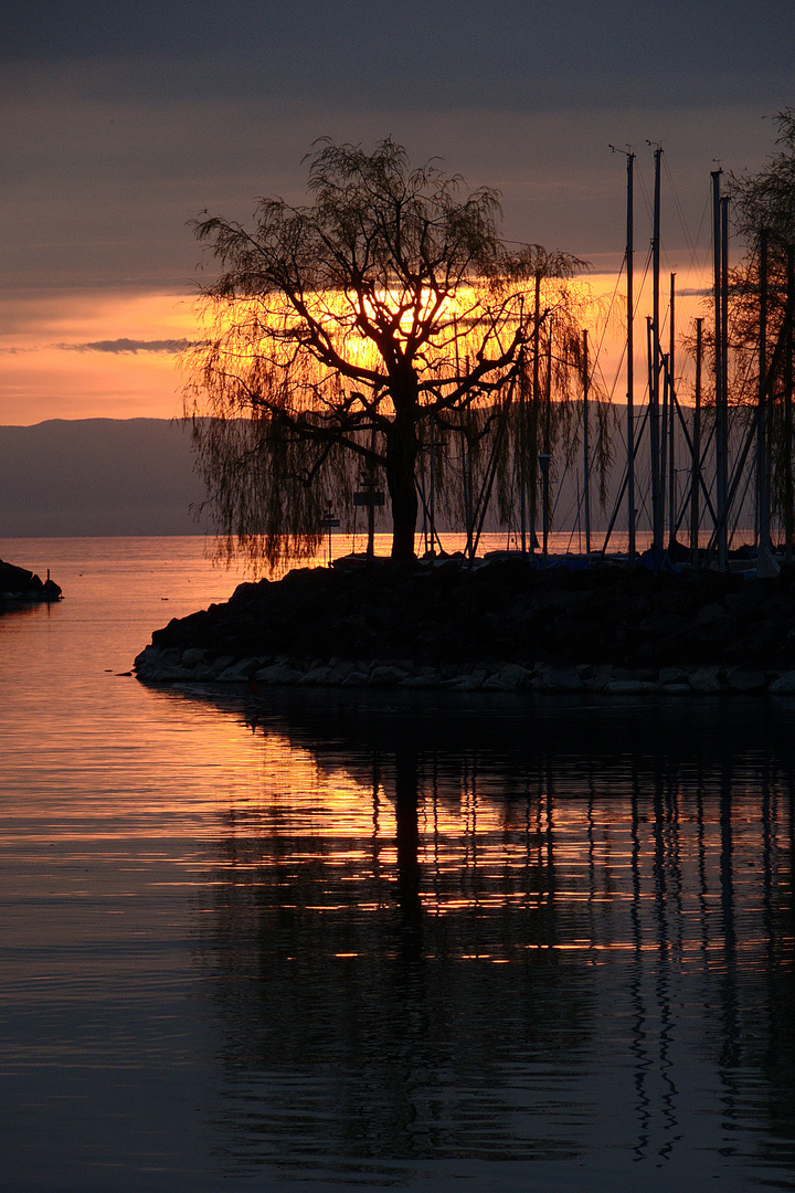 Sonnenuntergang im Hafen von Clarens