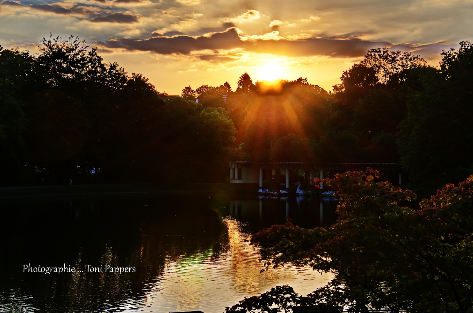 Sonnenuntergang im Hangeweiher - bei Aachen