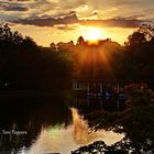 Sonnenuntergang im Hangeweiher - bei Aachen