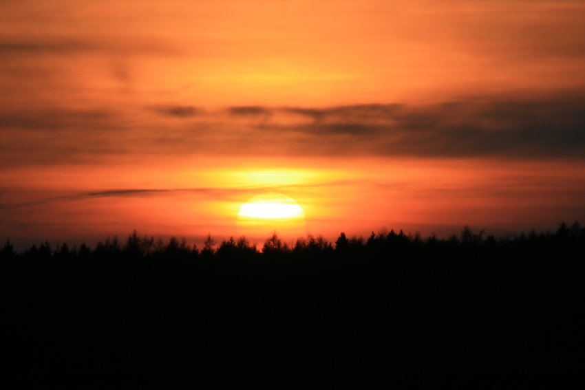 Sonnenuntergang im Harz