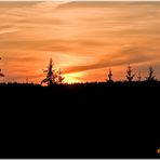 Sonnenuntergang im Harz