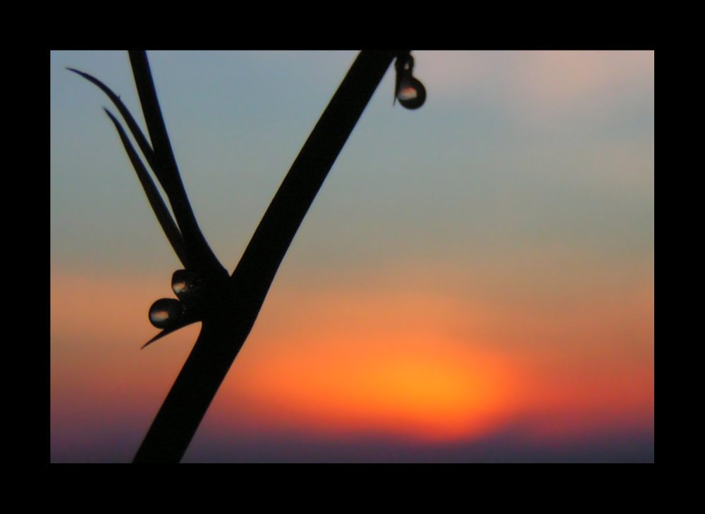 Sonnenuntergang im Harz