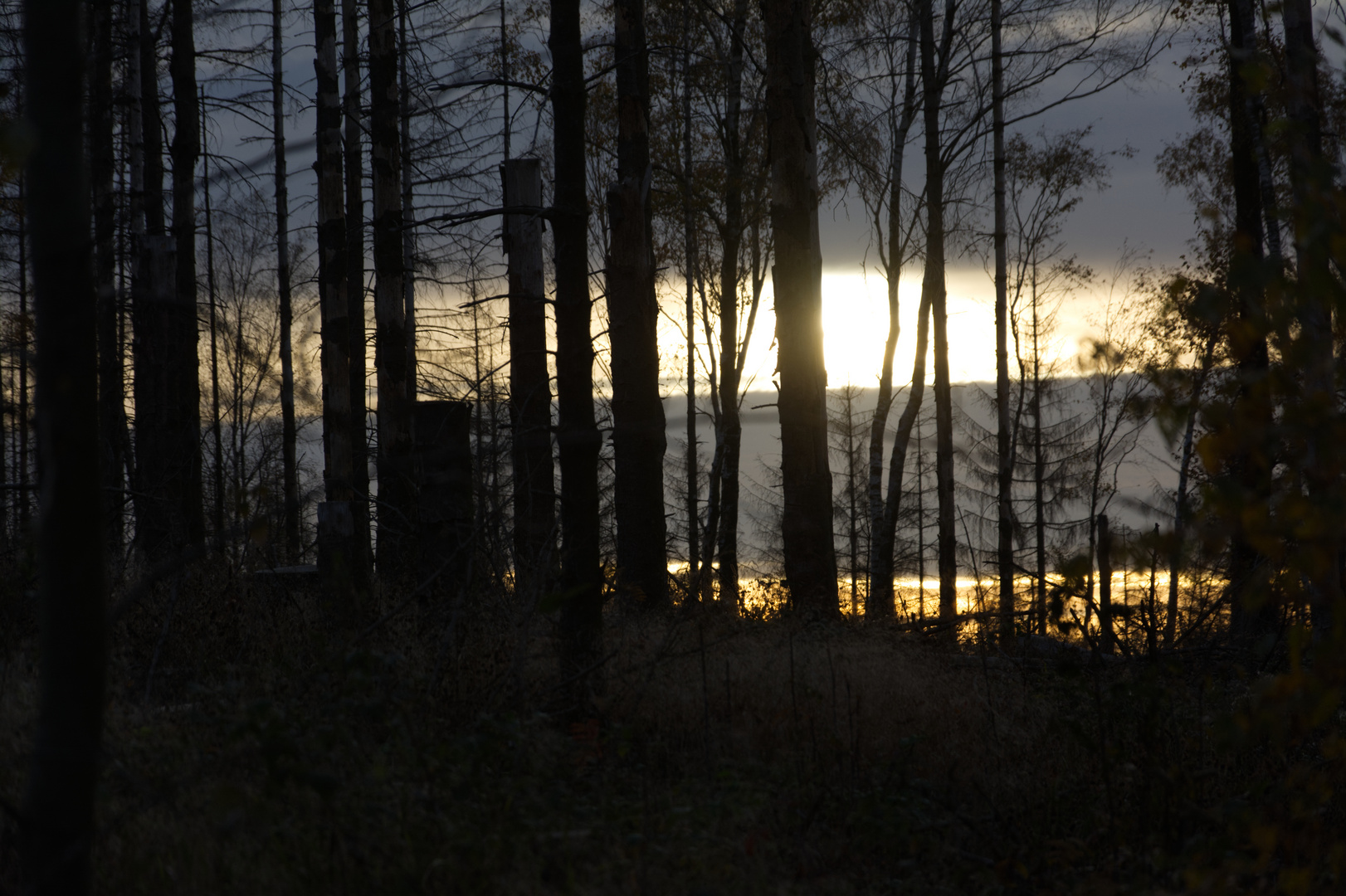 Sonnenuntergang im Harz