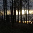 Sonnenuntergang im Harz