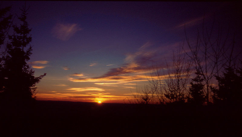 Sonnenuntergang im Harz