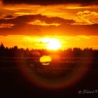 Sonnenuntergang im Harz