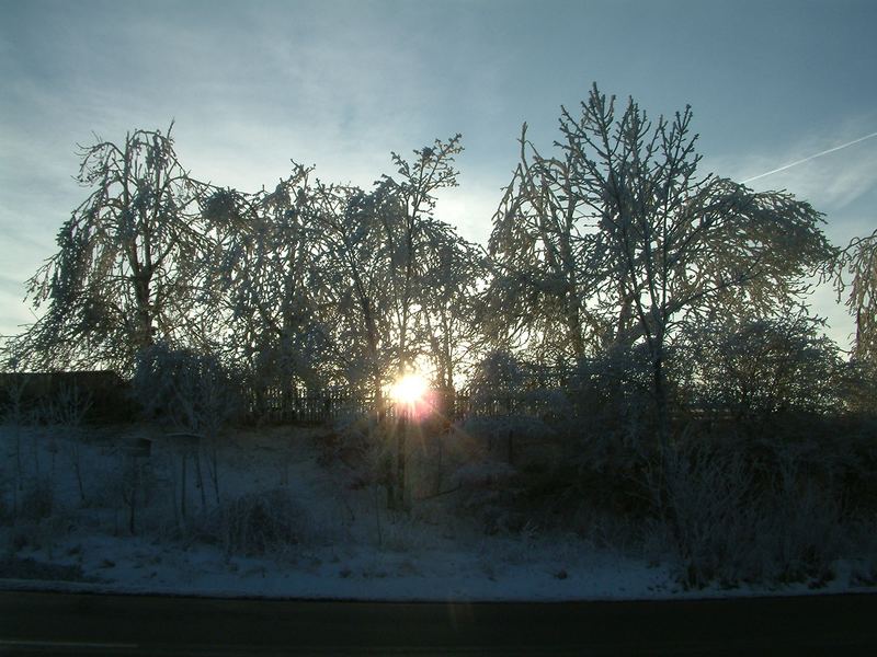 Sonnenuntergang im Harz