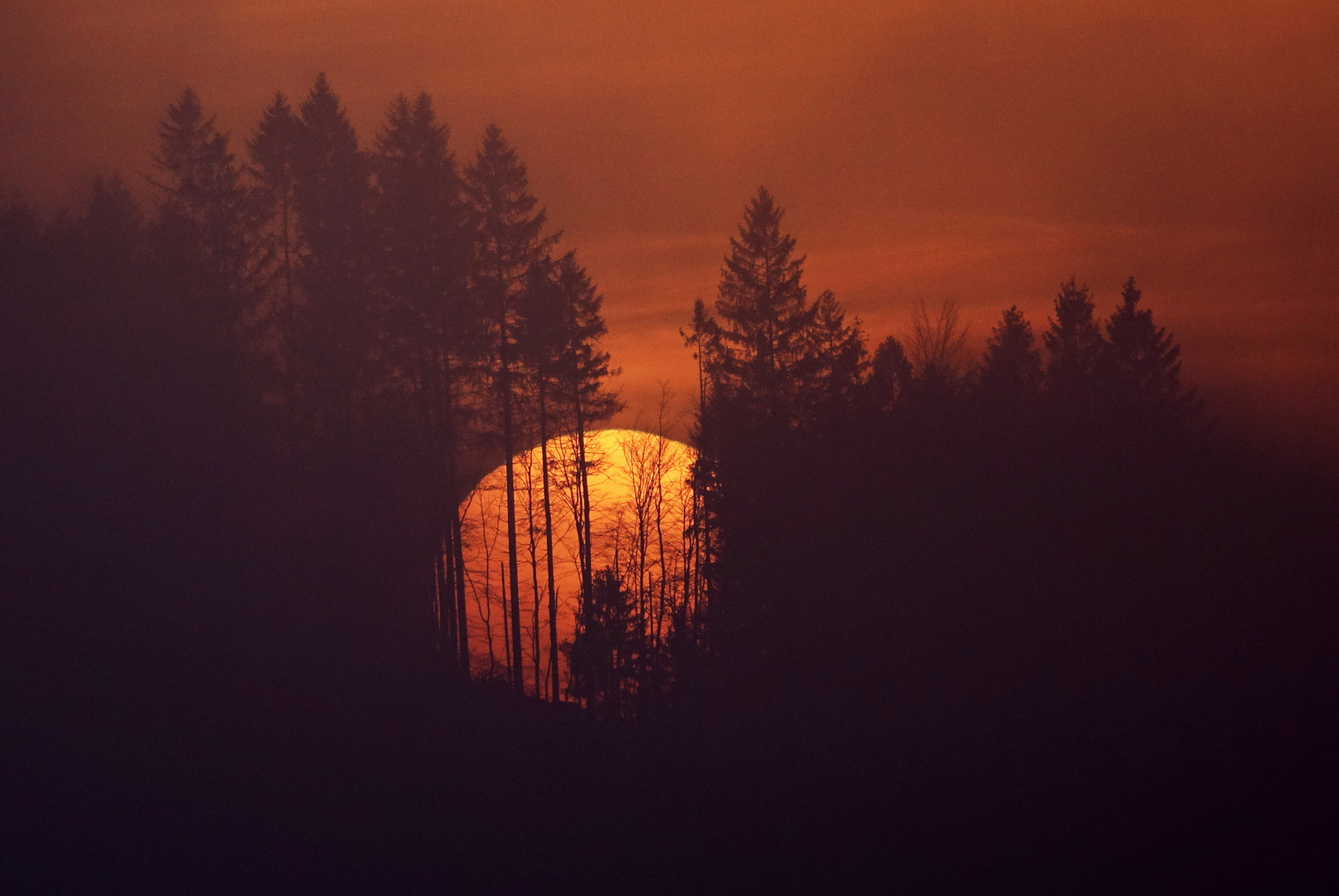 Sonnenuntergang im Harz II