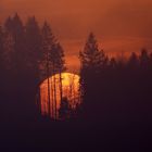 Sonnenuntergang im Harz II