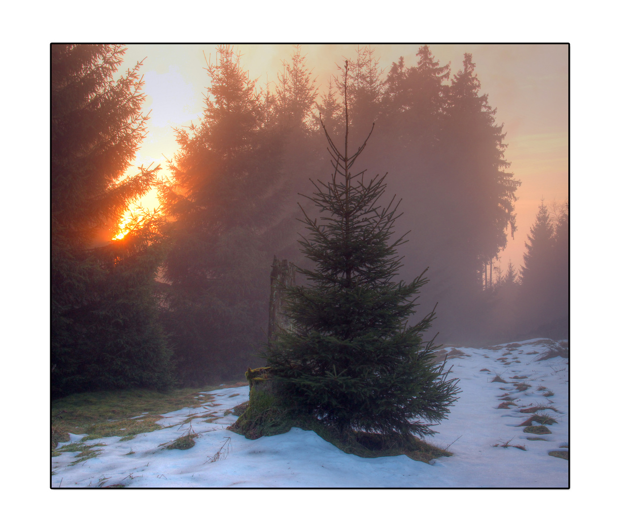 Sonnenuntergang im Harz II