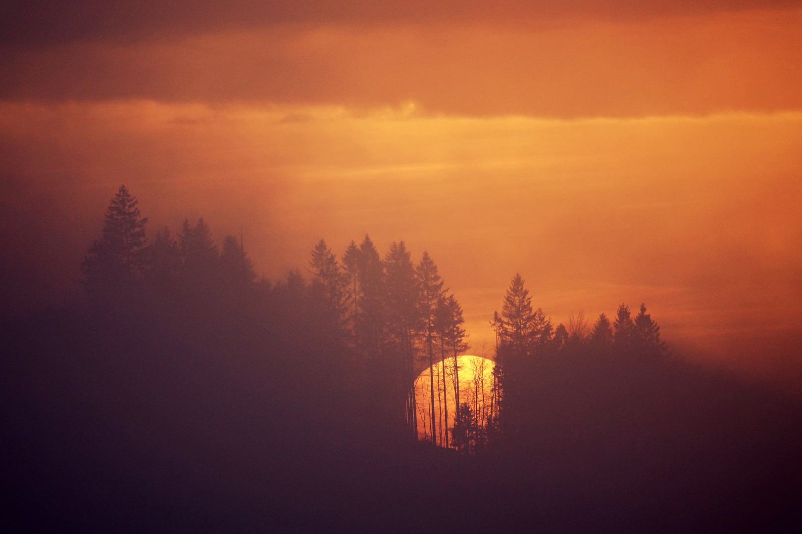 Sonnenuntergang im Harz IV