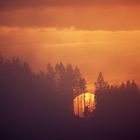 Sonnenuntergang im Harz IV